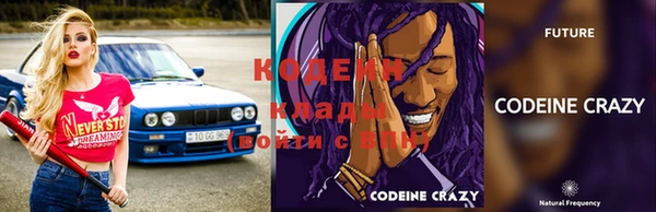 мдпв Карпинск