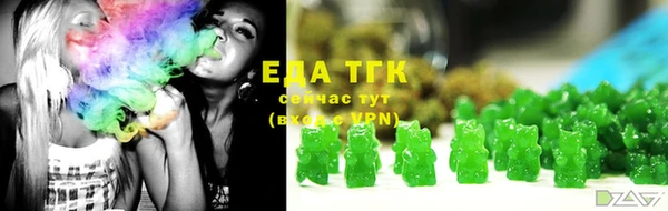 мдпв Карпинск