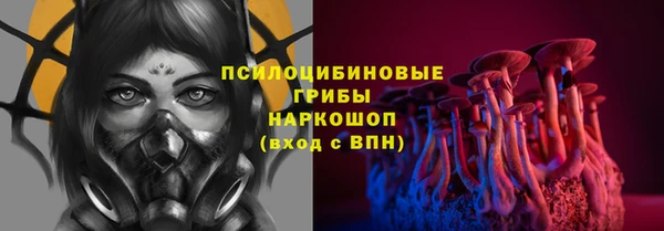 мдпв Карпинск