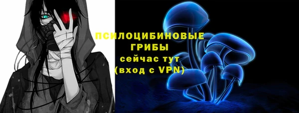 прущие крисы Киренск