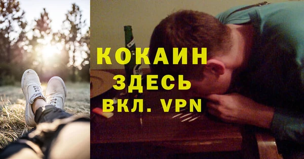 мдпв Карпинск