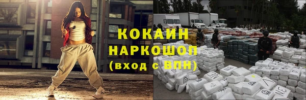 мдпв Карпинск